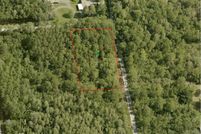 Undeveloped Land in Citrus County, Florida