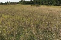 Land for sale in Olmsted County, Minnesota