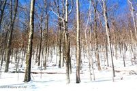 Undeveloped Land in Luzerne County, Pennsylvania
