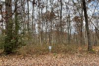 Undeveloped Land in Towns County, Georgia