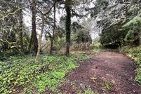Undeveloped Land in Lincoln County, Oregon