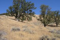 Timberland Property for sale in Kern County, California
