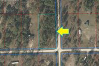 Undeveloped Land in Levy County, Florida