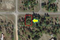 Undeveloped Land in Marion County, Florida