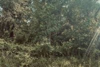 Land for sale in Hancock County, Mississippi