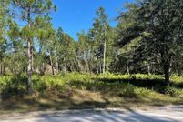 Undeveloped Land for sale in Putnam County, Florida