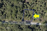 Undeveloped Land in Brevard County, Florida