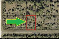 Undeveloped Land in Brevard County, Florida