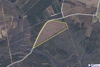 Undeveloped Land for sale in Marion County, South Carolina