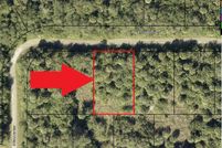 Undeveloped Land in Brevard County, Florida