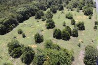 Undeveloped Land in Grayson County, Texas