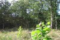 Land for sale in Marion County, Arkansas