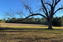 Land for sale in Grady County, Georgia