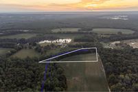 Undeveloped Land in Geneva County, Alabama