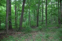 Undeveloped Land in Bedford County, Pennsylvania