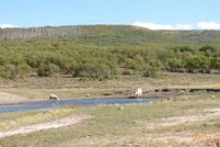 Land in Dolores County, Colorado