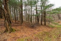 Undeveloped Land for sale in Carroll County, Virginia