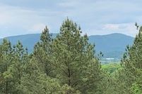 Undeveloped Land for sale in Union County, Georgia