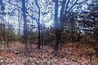 Undeveloped Land for sale in Dawson County, Georgia
