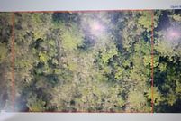 Undeveloped Land for sale in Santa Rosa County, Florida