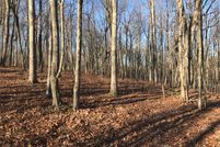 Undeveloped Land in Sequatchie County, Tennessee