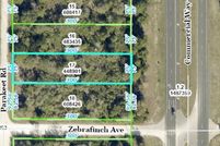 Undeveloped Land for sale in Hernando County, Florida
