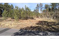 Homesite for sale in Larimer County, Colorado