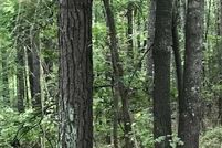 Undeveloped Land for sale in Talladega County, Alabama