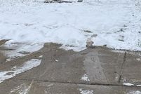 Land for sale in Oakland County, Michigan