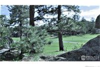 Land for sale in Larimer County, Colorado