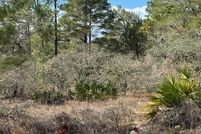 Undeveloped Land in Citrus County, Florida