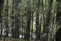 Farm and Ranch for sale in Talladega County, Alabama