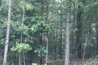 Undeveloped Land for sale in Talladega County, Alabama