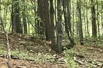 Farm and Ranch for sale in Talladega County, Alabama