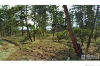Undeveloped Land for sale in Larimer County, Colorado