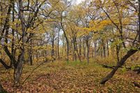 Land in Douglas County, Minnesota