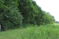 Undeveloped Land for sale in Lawrence County, Alabama