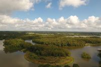 Undeveloped Land in Trinity County, Texas