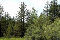 Undeveloped Land in Douglas County, Wisconsin