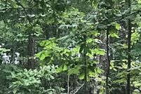 Land for sale in Talladega County, Alabama