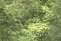 Homesite for sale in Talladega County, Alabama