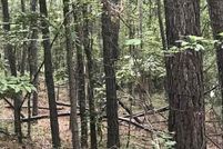 Undeveloped Land for sale in Talladega County, Alabama