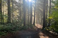 Undeveloped Land in Skagit County, Washington