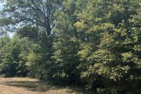 Undeveloped Land for sale in Camp County, Texas