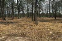 Homesite for sale in Lafayette County, Arkansas