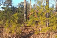 Land for sale in Cherokee County, Georgia