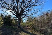 Undeveloped Land in Orange County, Virginia