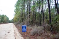 Undeveloped Land in Houston County, Alabama