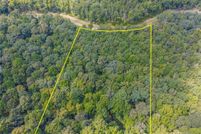 Undeveloped Land in Gilmer County, Georgia