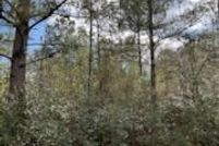 Land in Saint Tammany Parish, Louisiana